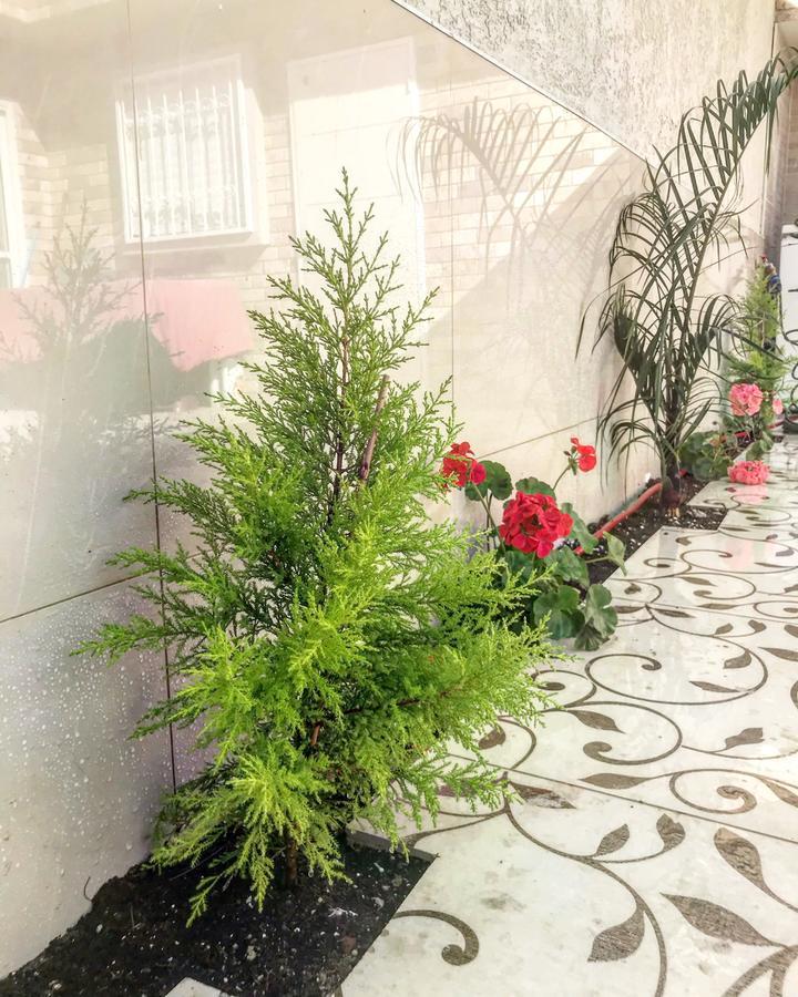 Shahal Apartments Beersheba Esterno foto